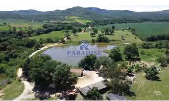 Imagem 5: Fazenda, Zona Rural, no estado de Goiás - R$ 65 mi, Cod: 68925