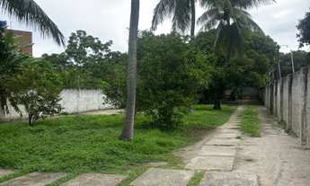 Imagem 6: Aluguel de casa Casa com 3 dormitórios