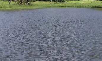 Imagem: Chácara 20 hectares, 4 açudes grande