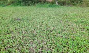 Imagem 4: Terreno com 240 m2