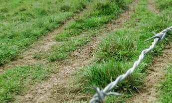 Imagem 3: Ótima fazenda em Mimoso do Sul - ES