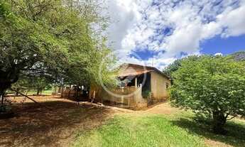 Imagem 3: Hidrolândia - Sitio de 4,17 Alqueires codigo: 161721