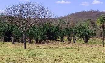 Imagem 6: Chácara em Mairipotaba