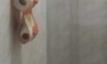 Imagem 6: Lindo ap na rua rosário 3 quartos todo mobiliado