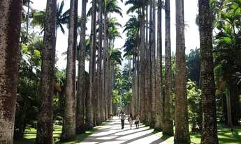 Imagem 2: Casa com 5 quartos à venda, 276m² - Jardim Botânico - Rio de Janeiro-RJ