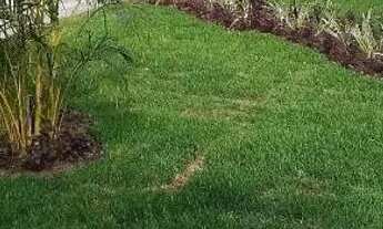 Imagem: Repasse apartamento