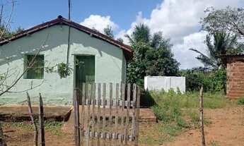 Imagem: A PROCURA DE CASAS PARA ALUGAR NO CORDEIRO