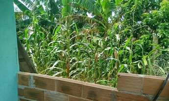 Imagem 6: Venda-se este terreno de 1312,46 M2 no Município de Atílio Vivacqua-ES