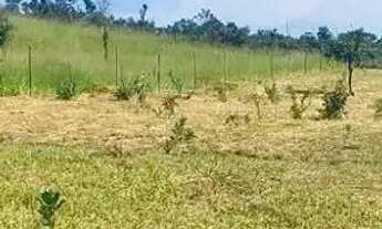 Imagem 3: Terreno para Venda em Brasília, Paranoá