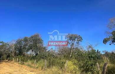 Imagem 7: Fazenda 40 alqueires (193,6 hectares) Mineiros - Go