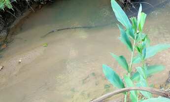 Imagem 7: Chácara 15 mil metros em Aragoiania