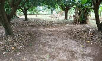 Imagem 3: Chacara Chácara com venda por R$800