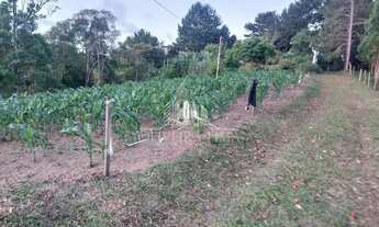 Imagem 3: Chácara com 1 Dormitorio(s) localizado(a) no bairro Área Rural em Bocaiúva do Sul / Ref.:1