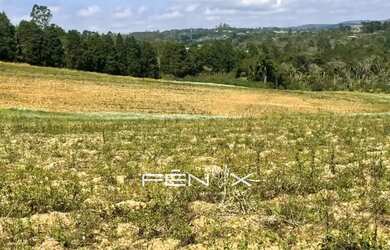 Imagem: Um terreno feito para quem quer construir