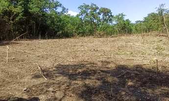 Imagem 6: Terreno Chácara 3 Alqueires 5 Km BR 414 Cocalzinho de Goiás