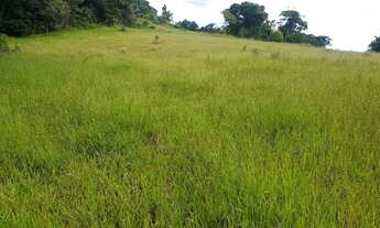 Imagem 6: Sorocaba Região 3.6 Hectares