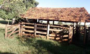 Imagem: Vendo Sitio em Castilho/Sp - 5 alqueires