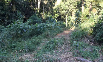 Imagem 5: Lote em Paraty a 05 km do Centro Histórico com RGI- 650 m2