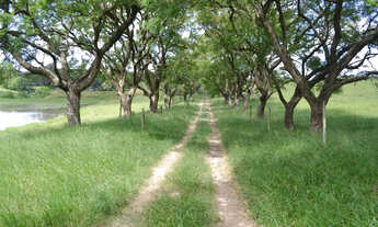 Imagem: Sorocaba Fazenda 223 Alqueires