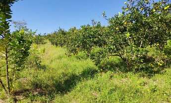 Imagem 2: Lindo Sítio em Rio Bonito 1h do Rio