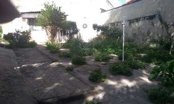 Imagem 5: Vendo excelente casa em bairro nobre