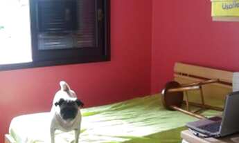 Imagem 6: Sobrado 3 Dormitorios