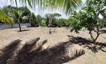 Imagem 2: Terreno no Novo Couto 4.672,5m²