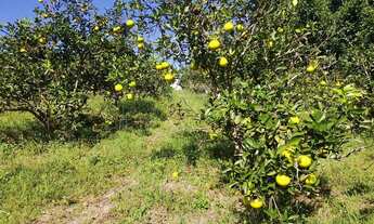 Imagem 4: Lindo Sítio em Rio Bonito 1h do Rio