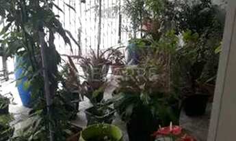 Imagem 4: Sobrado Residencial Venda - Vila Dalva - Rio Pequeno - SP