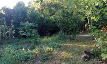 Imagem 3: Chácara com casa bastante sombra