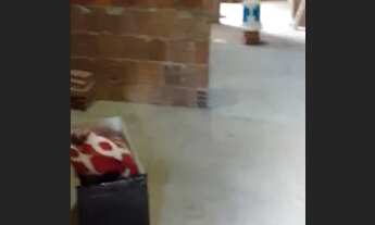 Imagem 2: Vendo Casa em Nova descoberta