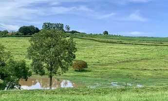 Imagem 5: Sitio de 12 alqueires com ótimo acesso