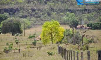 Imagem 5: Fazenda em Gurinhatã - MG com 137,94 hectares, ou seja 28,50 alqueires