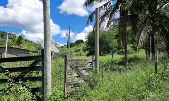 Imagem 6: FAZENDA A VENDA JOANESIA