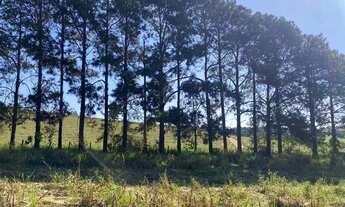 Imagem 6: Lote/Terreno para venda com 500 metros quadrados em Centro - Atibaia - SP