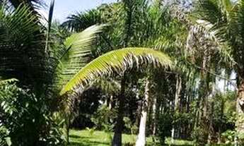 Imagem 7: Vendo chacara na Vargem Bonita, Senador Canedo