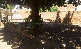 Imagem 7: Casa Padrão em São José do Rio Preto