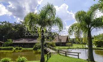 Imagem 7: Chácara São Francisco (Araucária/Campo Largo), com 25.000m2