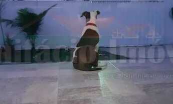 Imagem 6: Excelente casa para venda, com excelente localização !!!