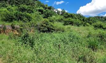 Imagem 4: FAZENDA A VENDA JOANESIA