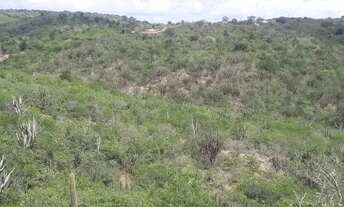 Imagem 7: Vendo 1 hectar de terras um pedaço do paraíso Solânea, Paraiba por R$ 20.000,00