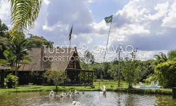 Imagem 5: Chácara São Francisco (Araucária/Campo Largo), com 25.000m2