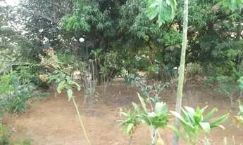 Imagem 6: Sitio de 1.000m² todo telado, Jaboticatubas(Temos varias opções)