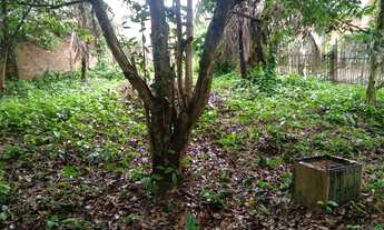 Imagem 3: Terreno avenda no porto grande