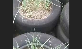 Imagem 3: Vendo ou Troco Casa no Jordão