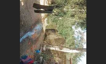 Imagem 4: Vendo Casa Casa com 5 dormitórios