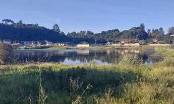 Imagem 4: Vendo terreno medindo 480 metros 12/40 de frente pra rua