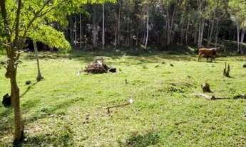 Imagem: Terreno à venda, 43.356 m² - Itoupava