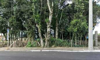 Imagem 2: Terreno à venda em Gramado - Pronto para construir!