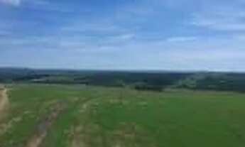 Imagem 7: Fazenda em Corumbaiba